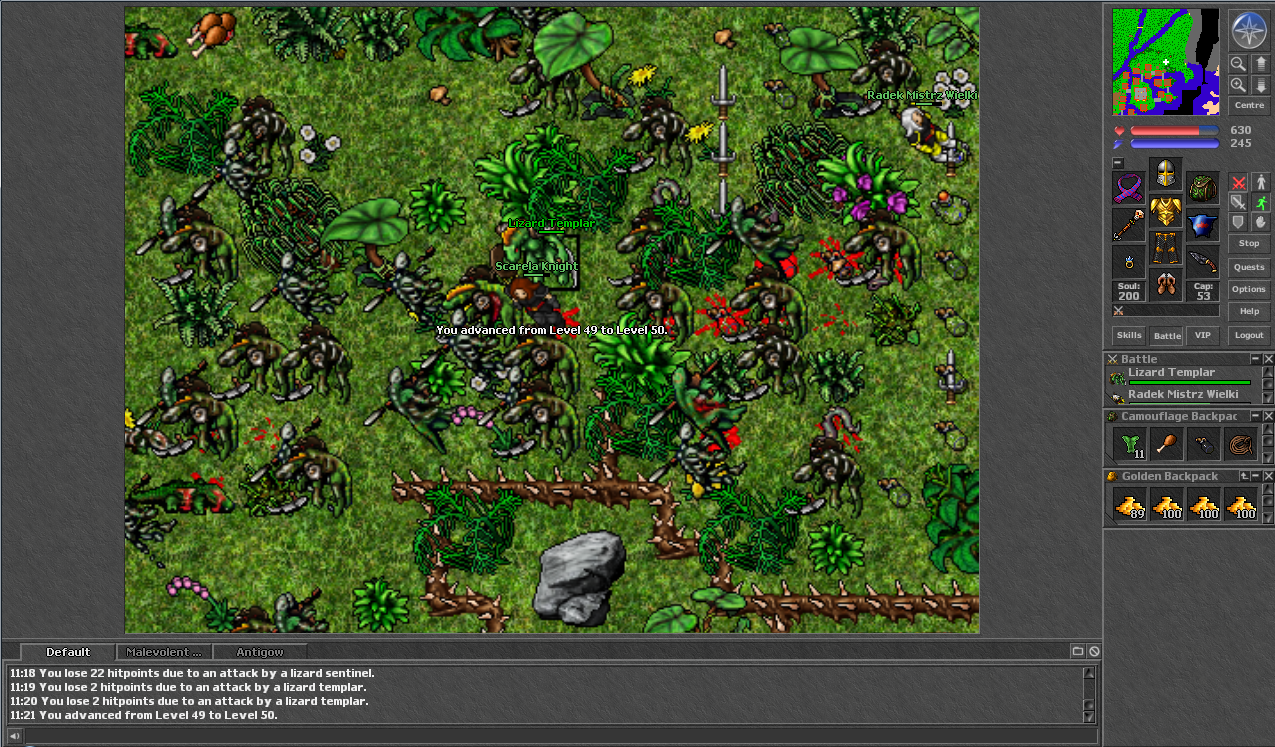 Nome:      level_50.png
Visitas:     738
Tamanho:  1,59 MB