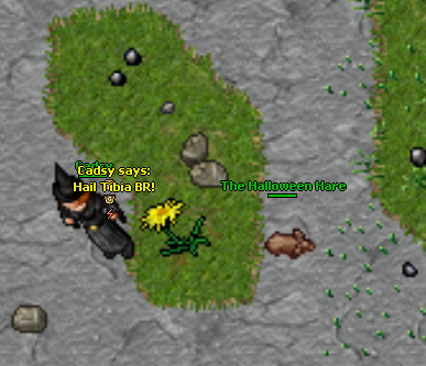 Nome:      hail tibiabr.png
Visitas:     105
Tamanho:  285,6 KB