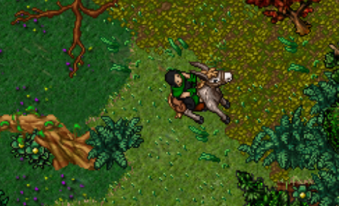 Nome:      retorno1.png
Visitas:     209
Tamanho:  333,6 KB