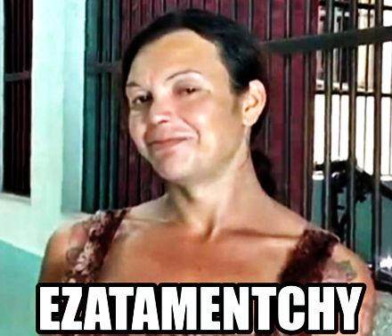 Nome:      73600f2a61519208f845a2799b20399d_fun-d-on-pinterest-meme-ezatamentchy_440-377.jpeg
Visitas:     167
Tamanho:  30,3 KB