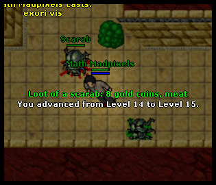 Nome:      lv15.png
Visitas:     940
Tamanho:  115,3 KB