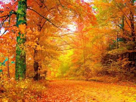 Nome:      hqdefault.jpg
Visitas:     145
Tamanho:  30,4 KB