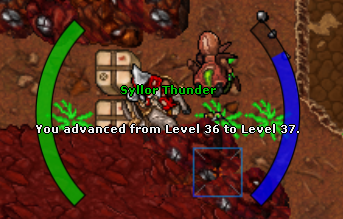 Nome:      Syllor Thunder - Level 37.png
Visitas:     546
Tamanho:  169,4 KB