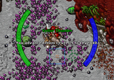 Nome:      Syllor Thunder - Level 40.png
Visitas:     414
Tamanho:  229,4 KB